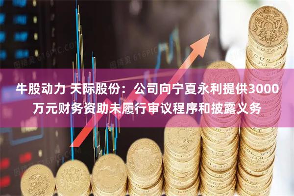 牛股动力 天际股份：公司向宁夏永利提供3000万元财务资助未履行审议程序和披露义务