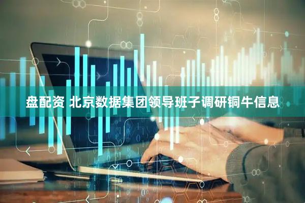 盘配资 北京数据集团领导班子调研铜牛信息